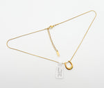 Load image into Gallery viewer, Lucky horseshoe necklace