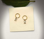 Load image into Gallery viewer, Tara Hoops