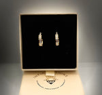 Load image into Gallery viewer, Crystal hoops