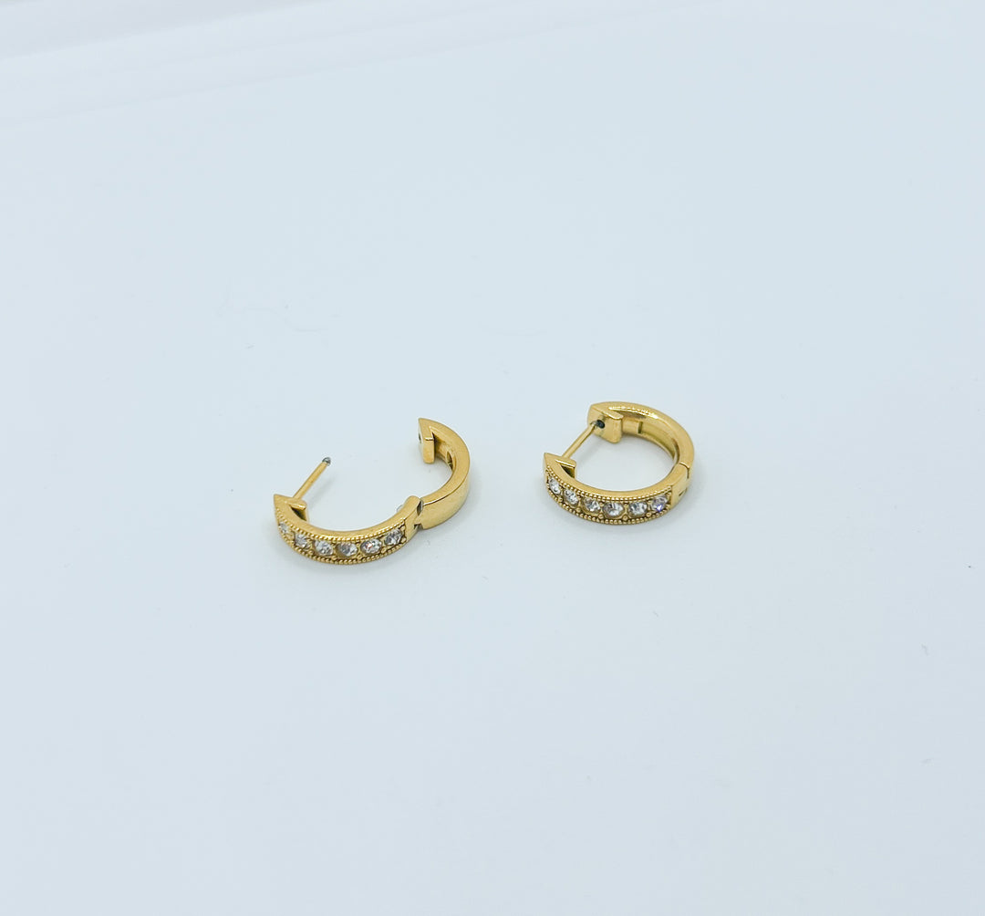Sophia hoops