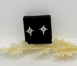 Load image into Gallery viewer, Sienna Hoops