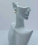 Load image into Gallery viewer, Clare drops