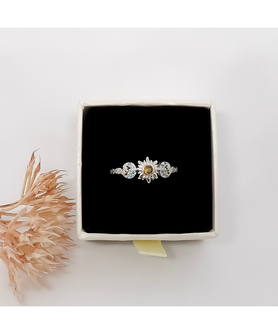 Cosmic Ring
