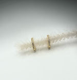 Load image into Gallery viewer, Regal Earrings