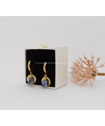 Load image into Gallery viewer, Luna Earrings