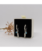 Load image into Gallery viewer, Silvia Hoops